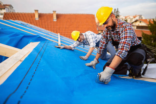 Best Roof Leak Repair  in North St Paul, MN