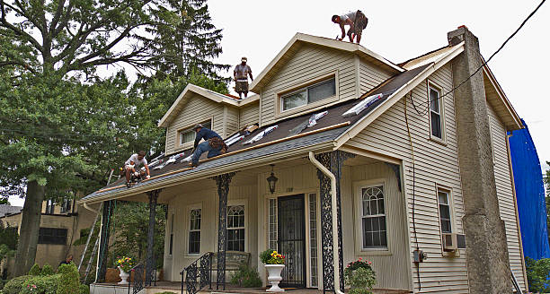 Best Roof Gutter Cleaning  in North St Paul, MN